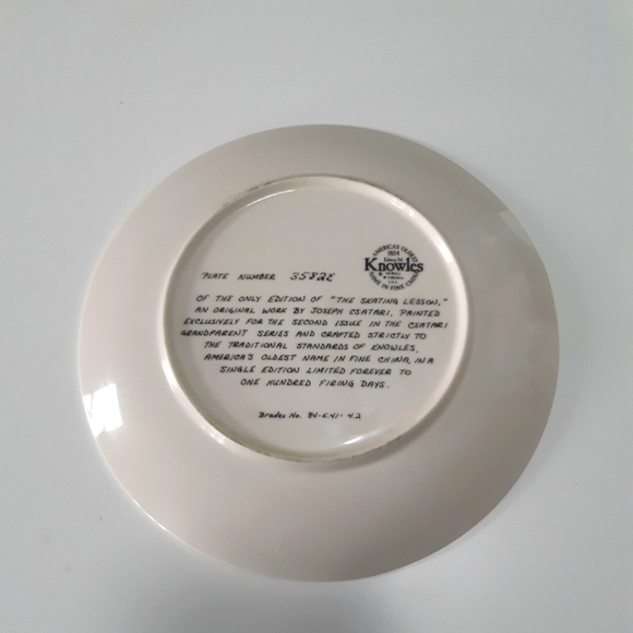 Knowles Csatari The Grandparent Collectors plate 1981 The Skating Lesson 8.5" - Picture 3 of 6